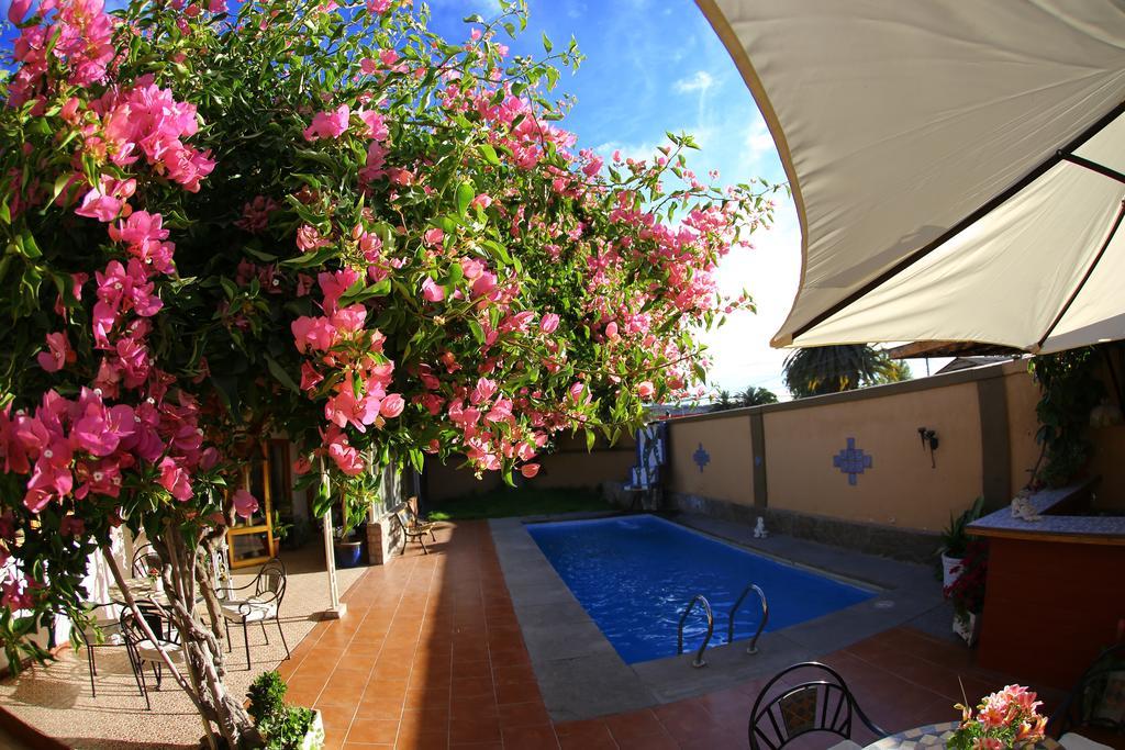 Hotel Puerto De Vega Vallenar Eksteriør billede